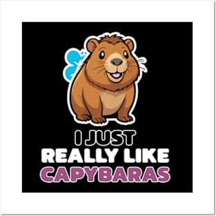 Capybara Enthusiast - I Just Really Like Capybaras Posters and Art